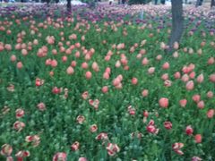 -长春公园(普阳街道)