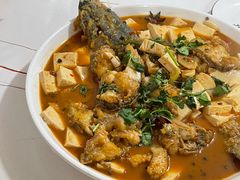 -煲来饱去冷水鱼