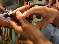 -藦茜花园宠物主题亲子互动体验馆(国顺东路店)