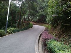 -广州市帽峰山景区