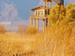 -野鸭湖国家湿地公园