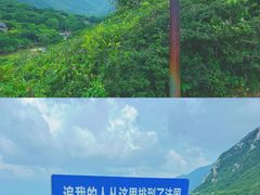 -鹿嘴山庄
