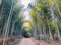 -石塘人家
