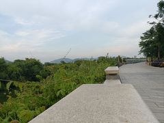 -芒洲湿地公园