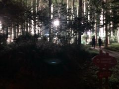 -仁和公园(顺义区)