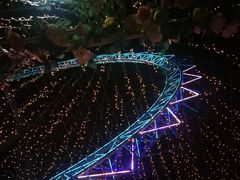 -幻彩摩天轮