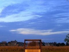 -桤木河湿地公园