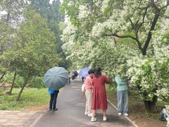 -国家植物园南园