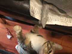 -吉友粥底火锅(方斜路店)