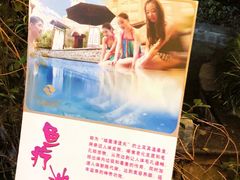 -杭州第一世界大酒店·云曼温泉