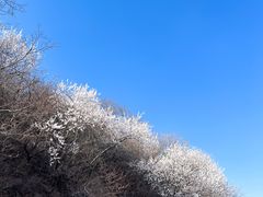 -妙峰山风景名胜区