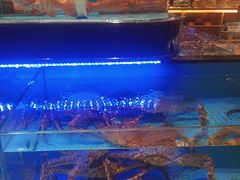 -阿伟海鲜楼·福建菜(延寿店)