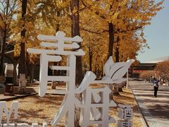 -金陵图书馆