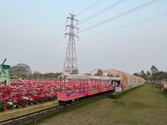 -盈香心动乐园