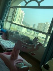 点击看大图 -生命加•Q考拉月子会所(玫瑰园店)