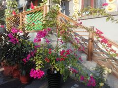 -钰田大院·碳烤虹鳟鱼·怀柔地道农家菜(雁栖湖店)