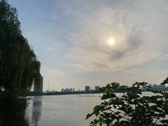 -金银湖国家城市湿地公园