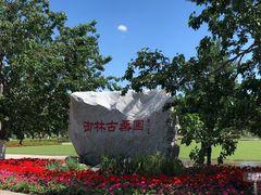 -御林古桑园