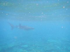 -中央格兰德岛温泉度假酒店 - 全包