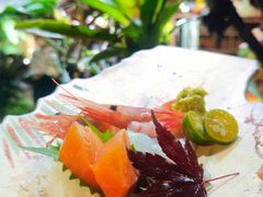 -森味薪火烧•烧鸟居酒屋•日本料理(望京店)