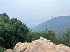 -桃花岭景区
