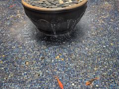 -曲水兰亭(北京四惠店)