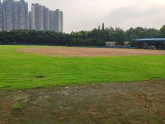 -金牛体育中心(金牛体育馆店)