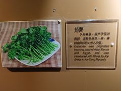 -定鼎门遗址博物馆