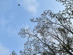 -深圳市当代艺术与城市规划馆