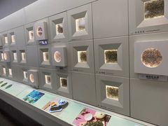 -中国茶叶博物馆(双峰馆区)