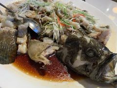 石斑鱼-衡山汇·高级粤菜(霄云路店)