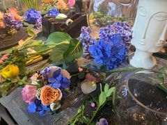 -杂咖zacup(领展中心城店)