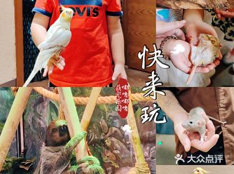 嘟噜嘟噜萌宠游乐园，约会遛娃新地标，快来玩呀