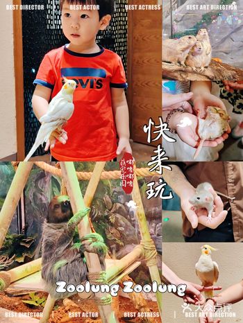 嘟噜嘟噜萌宠游乐园,约会遛娃新地标,快来玩呀