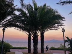 -深圳湾公园(南山区)