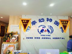 -恒幸动物医院·急重症转诊中心·神经内外科·CT核磁