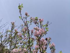 -西湖文化广场
