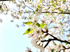 -苏州上方山国家森林公园