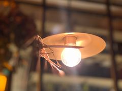 -毛辣果·酸(OHA复兴西路店)