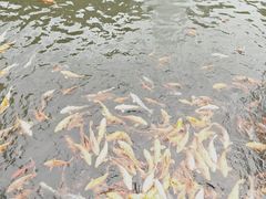 -孔氏南宗家庙