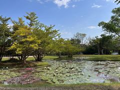 -中国科学院西双版纳热带植物园