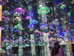 -迷斯伍德星空博物馆