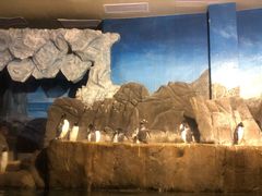 -成都浩海立方海洋公园