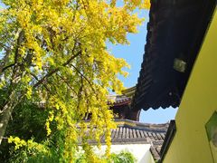 -西园戒幢律寺