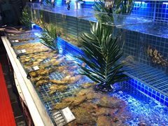 -必点海鲜·鲅鱼水饺(鞍山西道店)