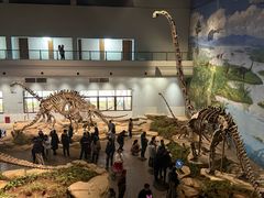 -自贡恐龙博物馆