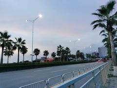 -宝安西湾红树林湿地公园