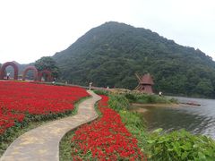 -广州市石门国家森林公园