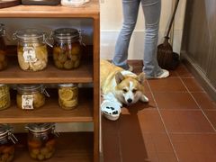 -肥朵食堂(带梦胡同店)