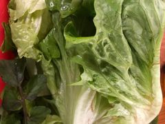 -章记正宗南岗鱼蛋火锅